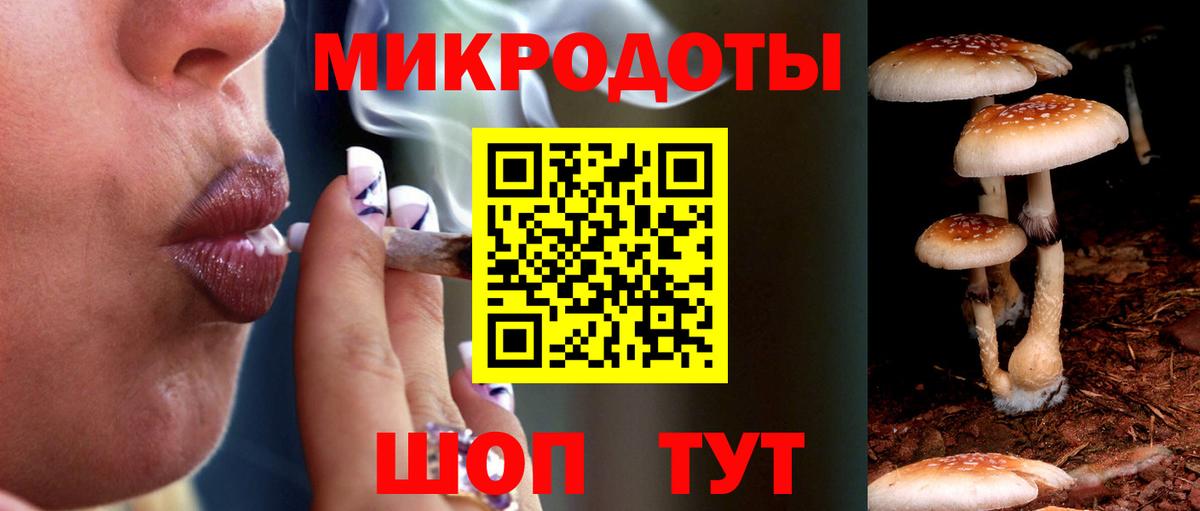 Галлюциногенные грибы Psilocybine cubensis Анапа